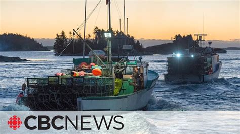 Federal Fisheries Department doing a poor job of monitoring fishing industry: report